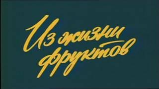 Из жизни фруктов 2 серии 1981 г.FHD