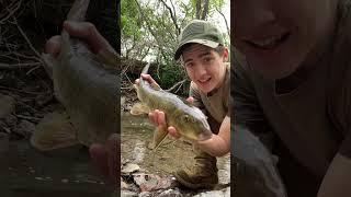 EPIC MONSTER FISH CATCH  #fishing #shorts