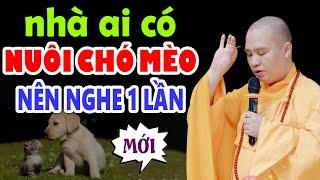 Ai đang NUÔI CHÓ  NUÔI MÈO trong nhà KHÔNG ĐƯỢC QUÊN những điều này - Thầy Thích Đạo Thịnh