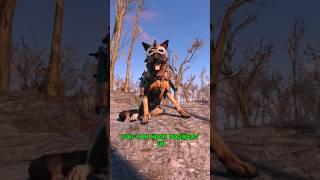 Get Dogmeat a Helmet in Fallout 4