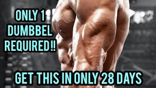 Get that intense tricep in just 28 days with only one dumbbell  MGI Bodybuilding 