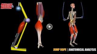 Jump Rope  Anatomical Analysis + Active Muscles