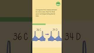 How to Measure Bra Size