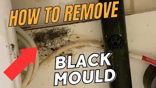 How To Remove Black Mould From Cupboards