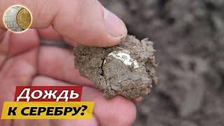 3108  Дождь к серебру?  Сильно промок но доволен  Коп с XP Deus 2