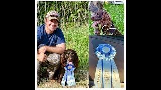 chiefholland boykin spaniel music city hrc hunt test May 2018 seasoned pass