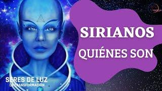 SIRIANOS RAZA Quiénes son ellos Razas Sirianas Razas galácticas Estrella sirio