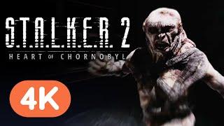 S.T.A.L.K.E.R. 2 Heart of Chornobyl - Official Trailer  Xbox Showcase 2024