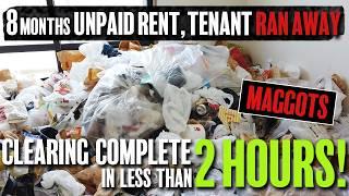 HOARDED 8 MONTHS Unpaid Rent Tenant Ran Away. Clearing Complete in Less Than 2 Hours Maggots…