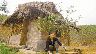 Village  Women Make Concrete Roads and Take Care Of the Farm