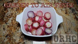 Garden To Air Fryer Roasting Fresh Picked Radishes In The Sur La Table Air Fryer From Costco