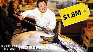 Why Bluefin Tuna Is So Expensive  So Expensive  Business Insider