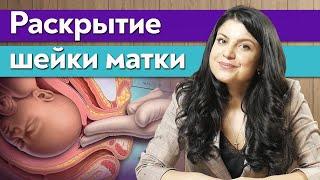 Шейка матки  Как ускорить раскрытие шейки матки при родах?