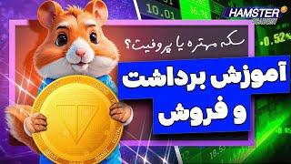 آموزش فروش همستر کامبت و بررسی اهمیت پروفیت Hamster Kombat