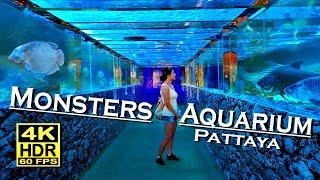 Monsters Aquarium Pattaya Thailand  4K 60fps HDR UHD Dolby Atmos  Walking Tour  Chon Buri 