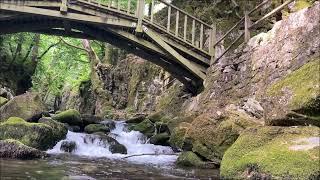 Wooden bridge over the beautiful mountain stream. Nature water and bird sounds. Relaxing meditation