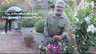 What is the Difference Between Annual and Perennial Plants
