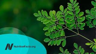 The Benefits of Moringa Is It the Most Nutritious Food?