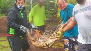 Imu Demonstration  Pahoa Hawaii