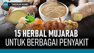 Daftar Herbal yang Paling Berkhasiat Bagi Kesehatan  Hidup Sehat tvOne