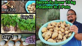 10 Aloo Se 10 Kilo Aloo Ugane ka Secret Wo Bhi Gamle Me  How to grow Tons Of Potatoes In Container