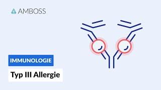 Immunkomplex Reaktion - Typ III Allergie - Biochemie - AMBOSS Video