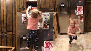 Three Year Old Climbs Fridge To Get Cookies