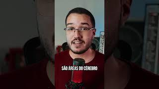 COMO É O CÉREBRO DE UM MENTIROSO?