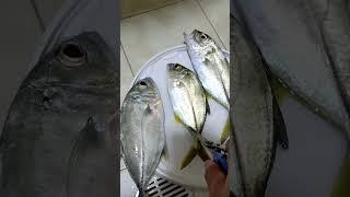 Talakitok para kay kumpare   SanaAll Angler  Salalah Oman