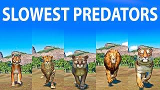 The Slowest Predators Speed Races in Planet Zoo included Tiger Lion Caracal Cheetah