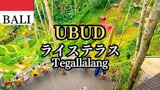 【バリ島ウブド観光スポット】ライステラス神の階段テガララン観光with ファニーガイ屈指の大自然スポット行ってきた女一人旅ウブド散策