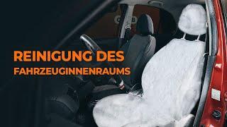 5 Fehler bei der Reinigung des Fahrzeuginnenraums  Tipps von AUTODOC