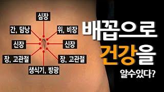 병을 다스리려면 이곳을 살펴라. 1cm의 신비 배꼽 건강 이야기 MBN 121018 방송