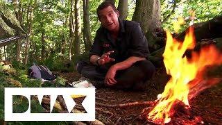 Bear Grylls Ultimate Wilderness Survival Tips  Bear Grylls Escape From Hell