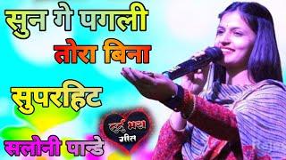 Sun Ge Pagali Tora Bina  सुन गे पगली तोर बिना  सलोनी पान्डे का दर्द भरा Stage show video #2024