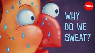 Why do we sweat? - John Murnan