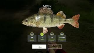 Русская рыбалка 4 ЧИТ 2024  Russian Fishing 4 CHEAT 2024