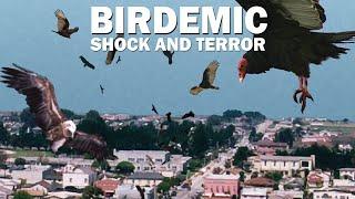 Birdemic Shock and Terror 2010 Carnage Count