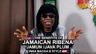 Macka Bs Medical Monday Jamaican Ribena JamunJava Plum