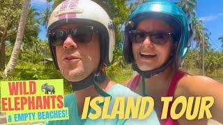 Koh Phangan 2022 - Island Tour WILD Elephants Talking Birds & CHEAP BEERS EP62