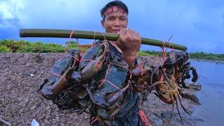 Amazing..  The Traditional Way of Catching Lots of Big Mud Crab In The Swamp