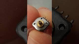 Cutiest stepper motor