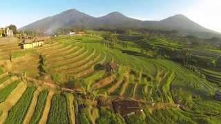 Subak The Beauty of Heaven in Bali