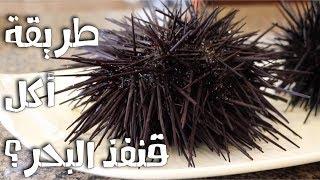 طريقة اكل قنفذ البحر How to eat Sea Urchin