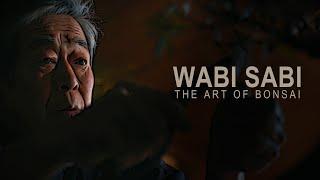 WABI SABI  THE ART OF BONSAI