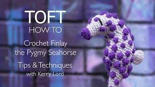 Crocheting Finlay the Pygmy Seahorse