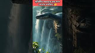 পৃথিবীর সবচেয়ে বড় সাপ কোথায় অবস্থিত ?   #shorts #facts #viralvideo