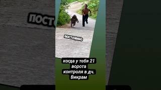 Когда у Вас 21 ворота контроля. Дизайн Человека #дизайнчеловека #викрамдизайнчеловека