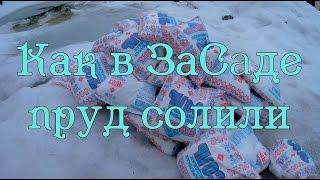 Как повысить иммунитет рыб весной добавление соли в пруд