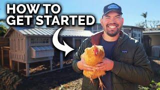 Raising Chickens Everything You Need To Know